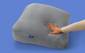 Backrest Pillow