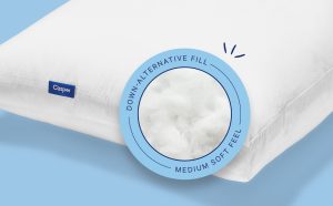 Back to School Bundle